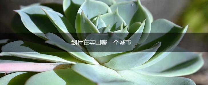 剑桥在英国哪一个城市,第1张