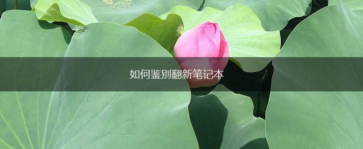 如何鉴别翻新笔记本,第1张