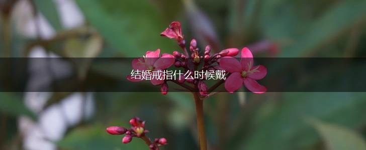 结婚戒指什么时候戴,第1张