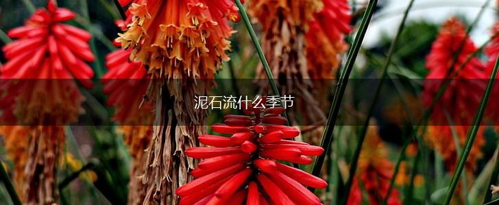 泥石流什么季节,第1张 泥石流什么季节,第1张