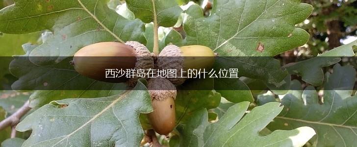 西沙群岛在地图上的什么位置,第1张