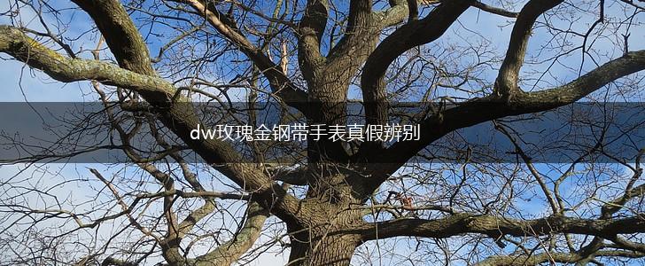 dw玫瑰金钢带手表真假辨别,第1张