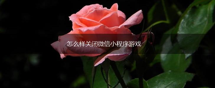 怎么样关闭微信小程序游戏,第1张 怎么样关闭微信小程序游戏,第1张