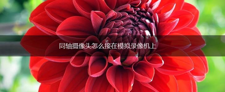 同轴摄像头怎么接在模拟录像机上,第1张 同轴摄像头怎么接在模拟录像机上,第1张