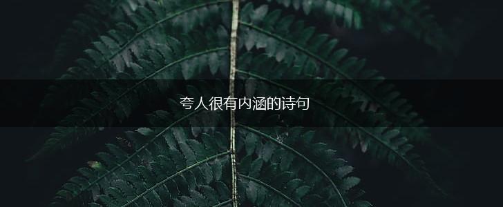 夸人很有内涵的诗句,第1张 夸人很有内涵的诗句,第1张