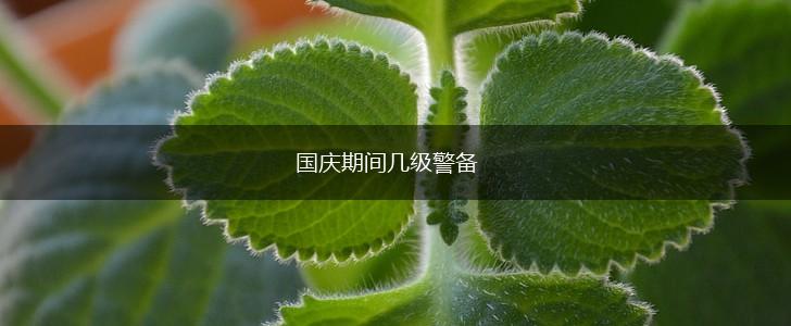 国庆期间几级警备,第1张