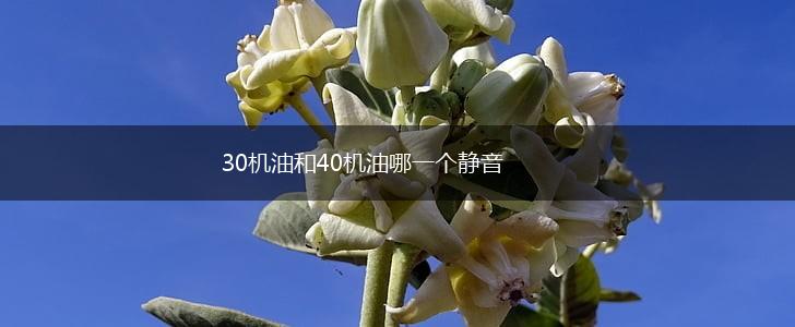 30机油和40机油哪一个静音,第1张