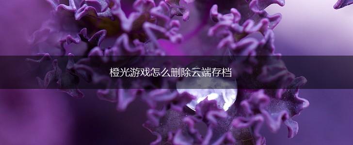橙光游戏怎么删除云端存档,第1张