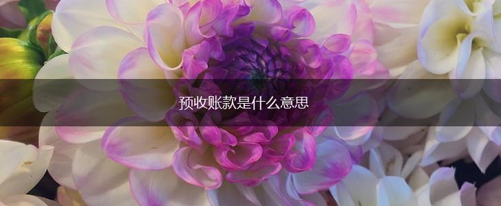 预收账款是什么意思,第1张
