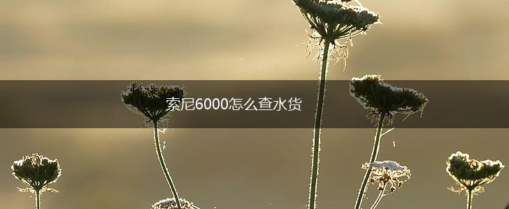索尼6000怎么查水货,第1张