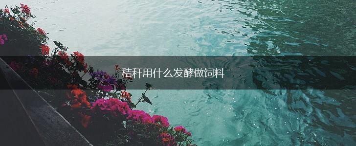 秸秆用什么发酵做饲料,第1张