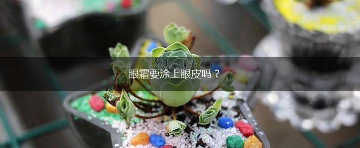 眼霜要涂上眼皮吗？,第1张