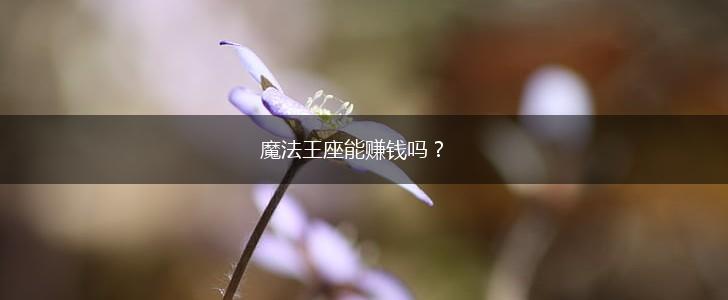 魔法王座能赚钱吗?,第1张 魔法王座能赚钱吗?,第1张
