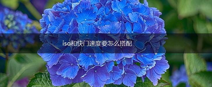 iso和快门速度要怎么搭配,第1张