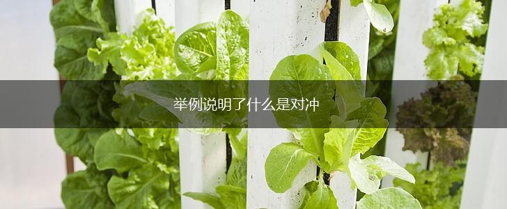 举例说明了什么是对冲,第1张