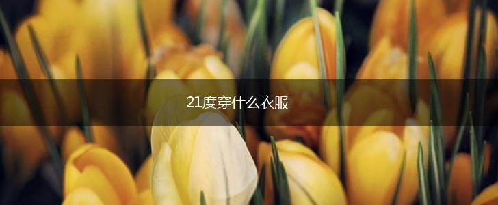 21度穿什么衣服,第1张