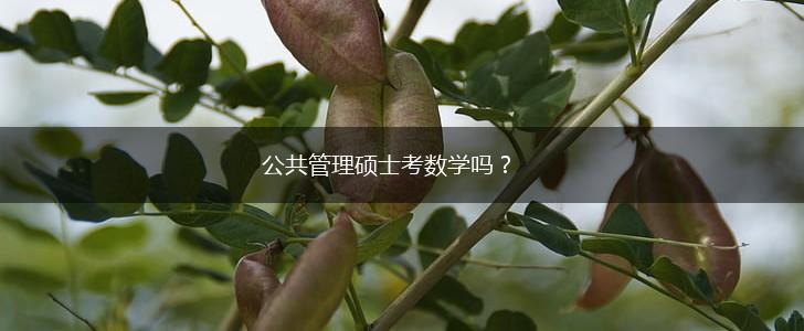 公共管理硕士考数学吗？,第1张