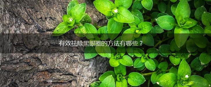 有效祛除黑眼圈的方法有哪些？,第1张