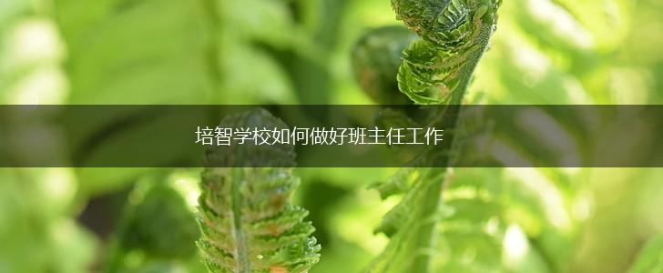 培智学校如何做好班主任工作,第1张