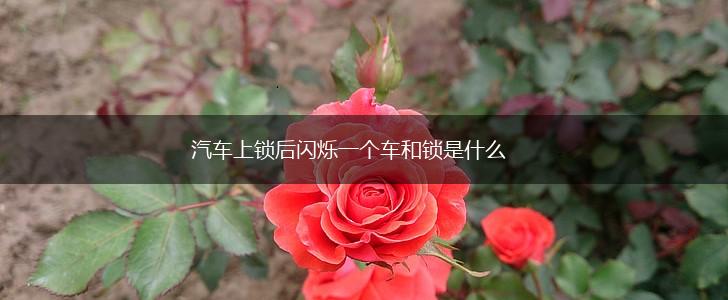 汽车上锁后闪烁一个车和锁是什么,第1张