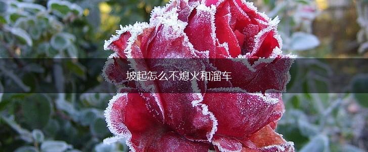 坡起怎么不熄火和溜车,第1张