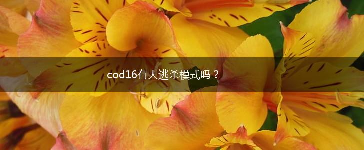 cod16有大逃杀模式吗？,第1张
