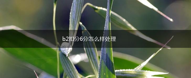 b2扣分6分怎么样处理,第1张