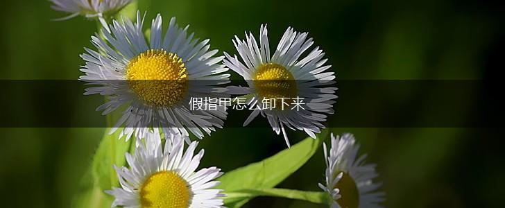 假指甲怎么卸下来,第1张