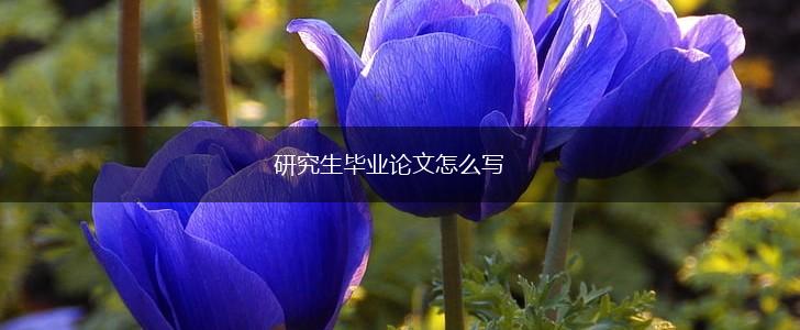 研究生毕业论文怎么写,第1张