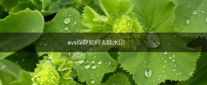 avs保存如何去除水印,第1张
