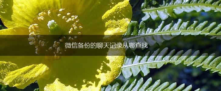 微信备份的聊天记录从哪查找,第1张