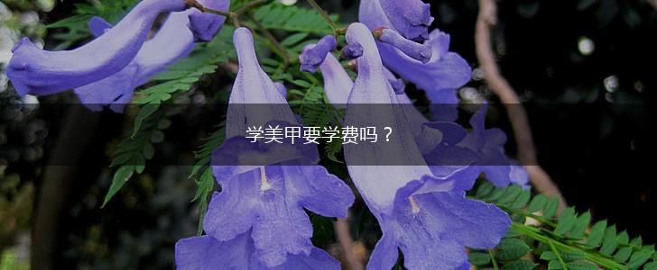 学美甲要学费吗？,第1张