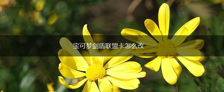 宝可梦剑盾联盟卡怎么改,第1张