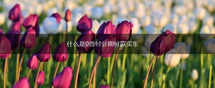 什么是0首付分期付款买车,第1张