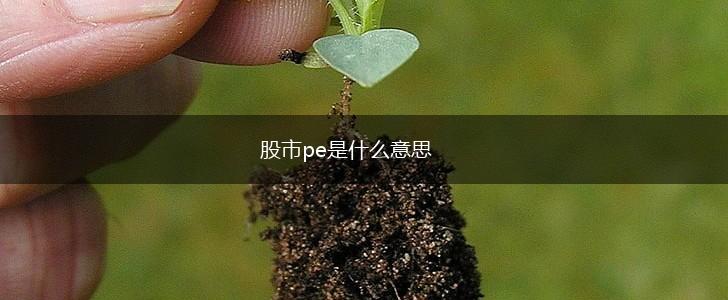 股市pe是什么意思,第1张