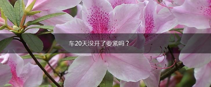 车20天没开了要紧吗？,第1张