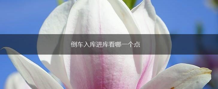 倒车入库进库看哪一个点,第1张