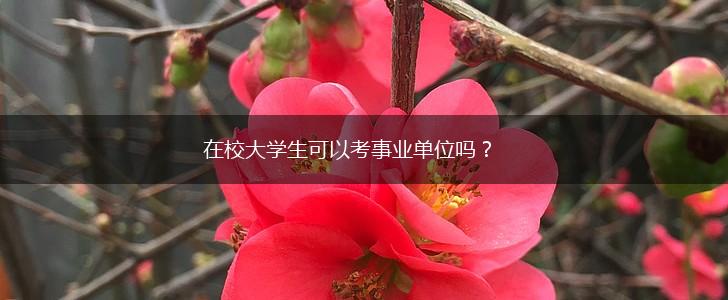 在校大学生可以考事业单位吗？,第1张