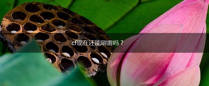 cf现在还能刷雷吗？,第1张