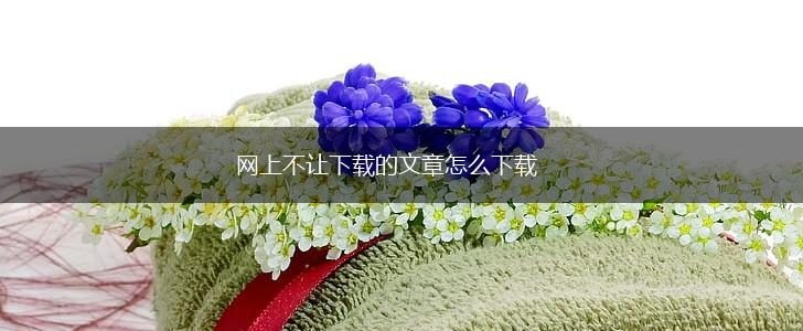 网上不让下载的文章怎么下载,第1张