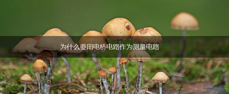为什么要用电桥电路作为测量电路,第1张