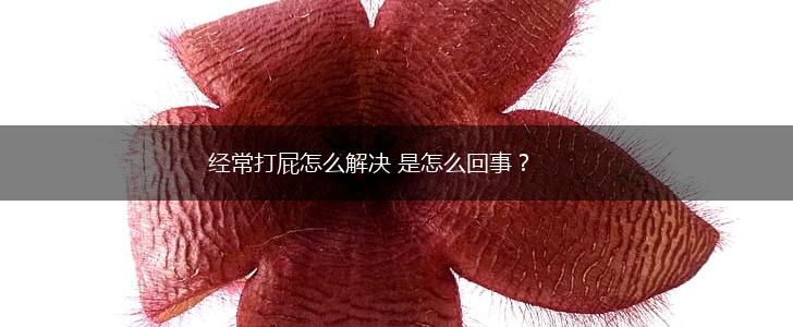 经常打屁怎么解决 是怎么回事？,第1张