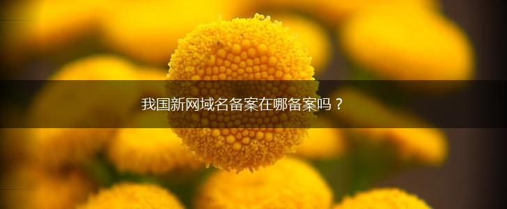 我国新网域名备案在哪备案吗？,第1张