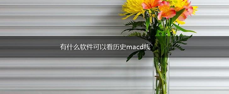 有什么软件可以看历史macd线,第1张