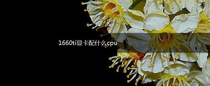 1660ti显卡配什么cpu,第1张