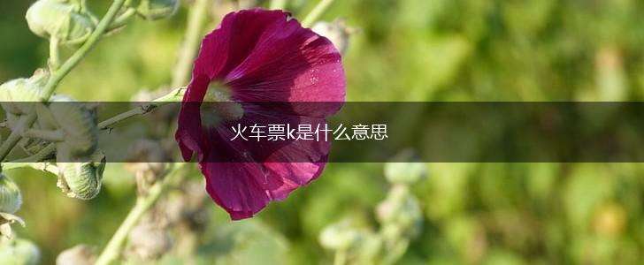 火车票k是什么意思,第1张