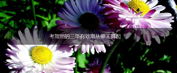考驾照的三年有效期从哪天算起,第1张