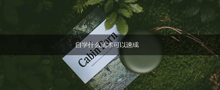 自学什么武术可以速成,第1张