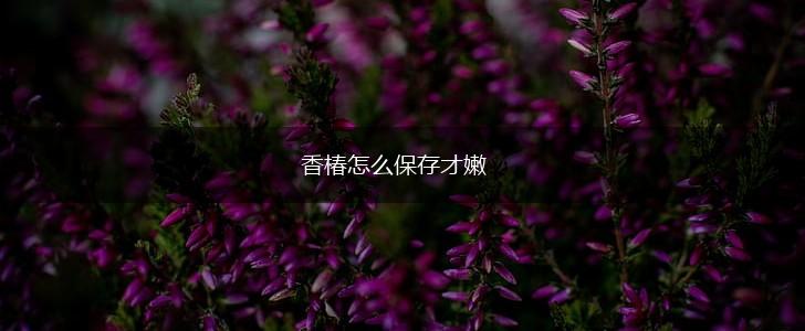 香椿怎么保存才嫩,第1张