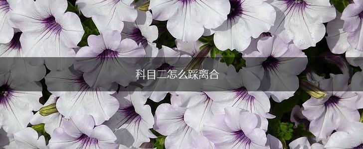 科目二怎么踩离合,第1张